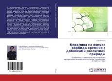 Buchcover von Керамика на основе карбида кремния с добавками различной природы