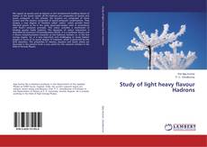 Buchcover von Study of light heavy flavour Hadrons