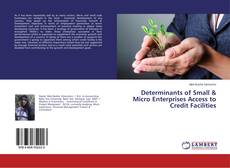 Couverture de Determinants of Small & Micro Enterprises Access to Credit Facilities