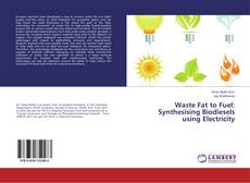 Copertina di Waste Fat to Fuel: Synthesising Biodiesels using Electricity
