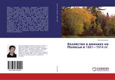 Buchcover von Хозяйство в имениях на Полесье в 1861—1914 гг.