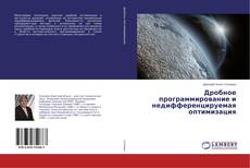 Buchcover von Дробное программирование и недифференцируемая оптимизация