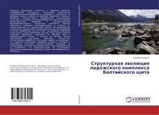 Buchcover von Структурная эволюция ладожского комплекса Балтийского щита