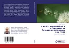 Buchcover von Синтез, переработки и вулканизации бутадиен-нитрильных каучуков