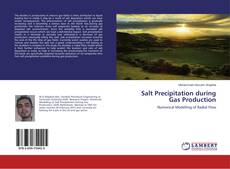 Buchcover von Salt Precipitation during Gas Production