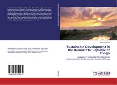 Buchcover von Sustainable Development in the Democratic Republic of Congo