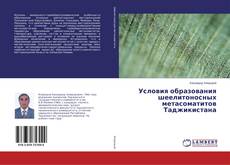 Copertina di Условия образования шеелитоносных метасоматитов Таджикистана