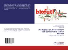 Copertina di Production of Biofuels from Non-consumable carbon sources