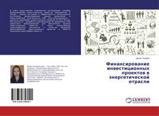 Buchcover von Финансирование инвестиционных проектов в энергетической отрасли