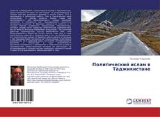 Buchcover von Политический ислам в Таджикистане