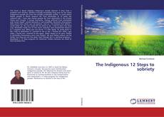 Copertina di The Indigenous 12 Steps to sobriety