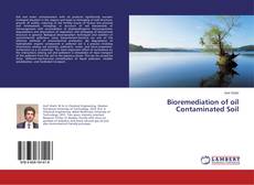 Copertina di Bioremediation of oil Contaminated Soil