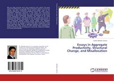 Buchcover von Essays in Aggregate Productivity, Structural Change, and Misallocation
