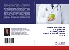Buchcover von Метаболическая коррекция ишемических повреждений ткани мозга