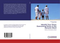 Copertina di Identify Your Stress Overcoming Stress in the Dynamic Word