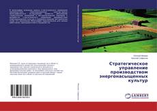 Buchcover von Стратегическое управление производством энергонасыщенных культур