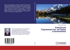 Bookcover of Северный Таджикистан: история становления
