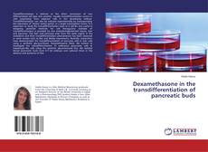 Copertina di Dexamethasone in the transdifferentiation of pancreatic buds