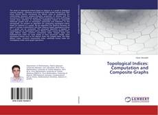 Buchcover von Topological Indices: Computation and Composite Graphs