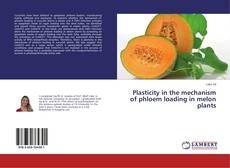 Copertina di Plasticity in the mechanism of phloem loading in melon plants