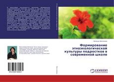 Copertina di Формирование этноэкологической культуры подростков в современной школе