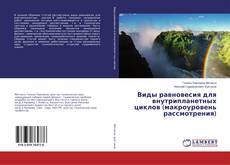 Buchcover von Виды равновесия для внутрипланетных циклов (макроуровень рассмотрения)