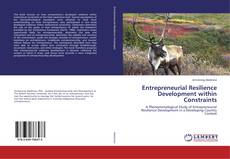 Buchcover von Entrepreneurial Resilience Development within Constraints