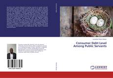 Copertina di Consumer Debt Level Among Public Servants