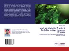 Buchcover von Morinda citrifolia: A potent herb for various common illnesses