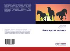 Buchcover von Башкирская лошадь