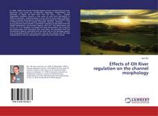 Buchcover von Effects of Olt River regulation on the channel morphology