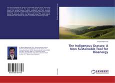 Copertina di The Indigenous Grasses: A New Sustainable Tool for Bioenergy