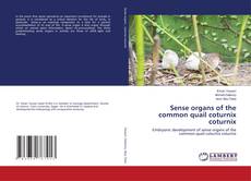 Buchcover von Sense organs of the common quail coturnix coturnix