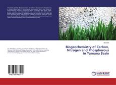Buchcover von Biogeochemistry of Carbon, Nitrogen and Phosphorous in Yamuna Basin