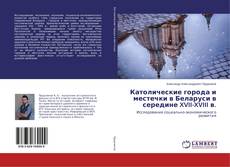 Copertina di Католические города и местечки в Беларуси в середине XVII-XVIII в.