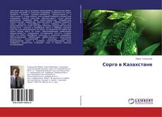Copertina di Сорго в Казахстане