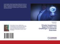 Copertina di Private Investment Opportunities and Challenges: A Sectoral Overview