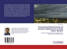 Buchcover von Examining Determinants of Female Employment in Paid Labor Market