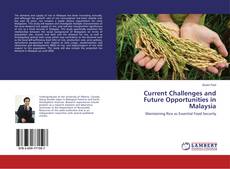 Copertina di Current Challenges and Future Opportunities in Malaysia