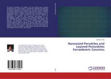 Copertina di Nanosized Pervskites and Layered Perovskites Ferroelectric Ceramics