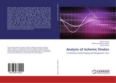 Buchcover von Analysis of Ischemic Strokes