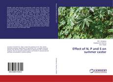 Copertina di Effect of N, P and S on summer castor