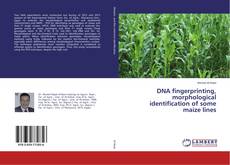 Copertina di DNA fingerprinting, morphological identification of some maize lines