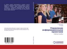 Buchcover von Управление информационными проектами