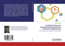 Copertina di Combined laccase-ultrasound processes for industrial applications