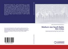 Buchcover von Medium size South Baltic Rim Cities