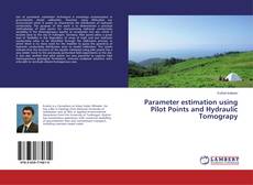 Buchcover von Parameter estimation using Pilot Points and Hydraulic Tomograpy