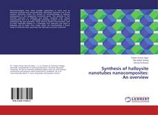 Copertina di Synthesis of halloysite nanotubes nanocomposites: An overview
