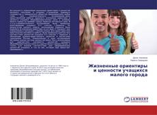 Buchcover von Жизненные ориентиры и ценности учащихся малого города