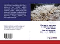 Copertina di Математическое моделирование процессов формирования селевых потоков